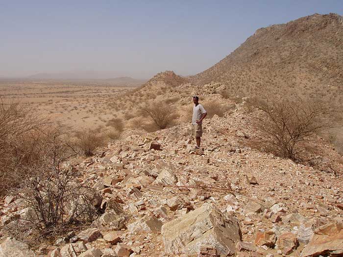 Jasperoid replacement of marble in Eritrea