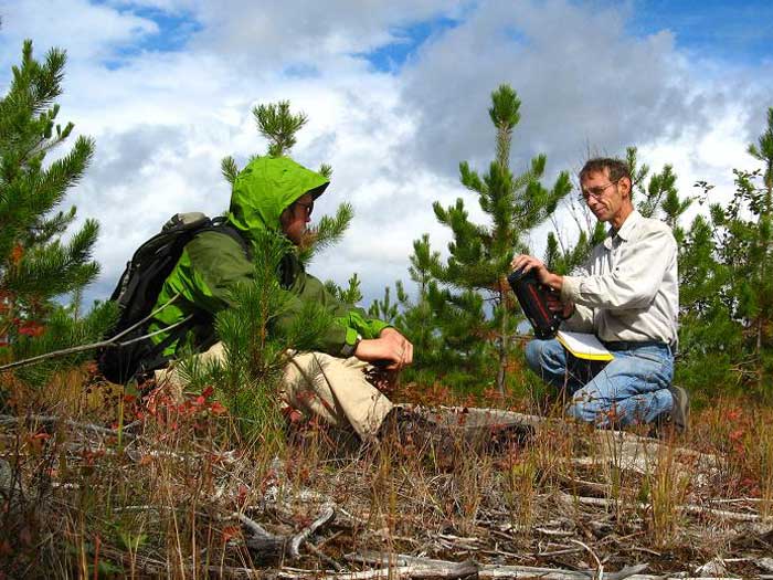 Spectrometer survey in British Columbia